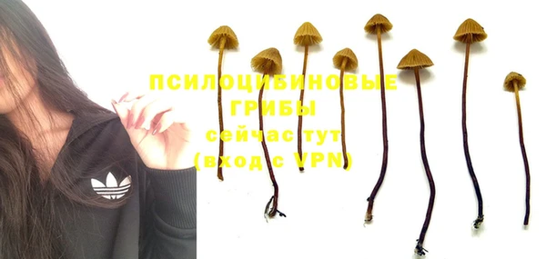 МДПВ Киренск